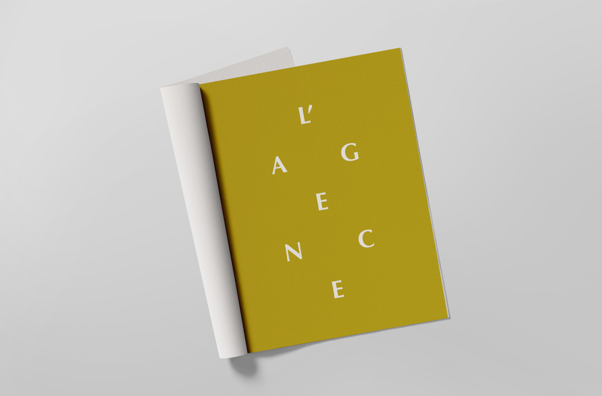 animal-pensant-identite-visuelle-brochure-04