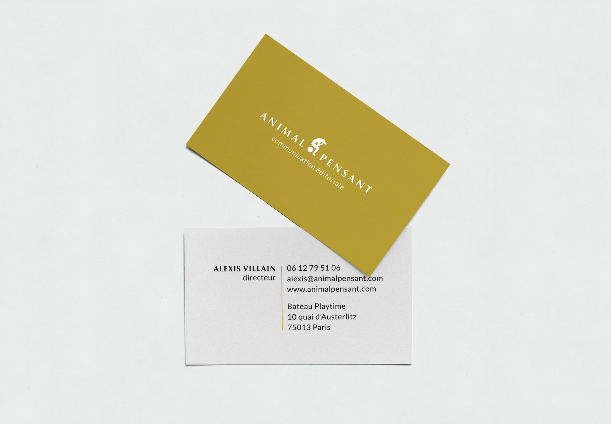 animal-pensant-identite-visuelle-logotype-01